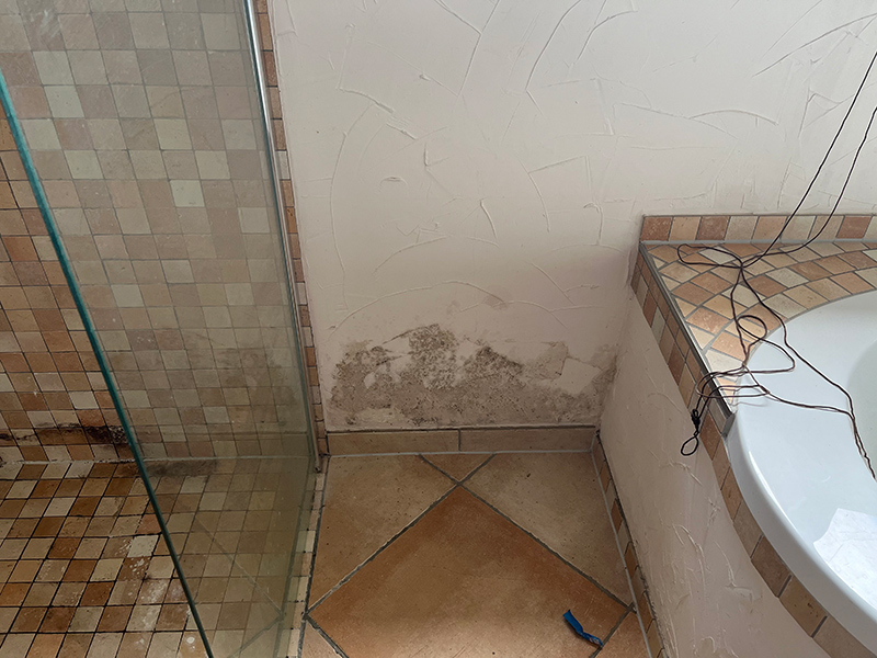 Durchfeuchtungen und Schimmel an der Decke infolge eines Rohrbruchs in Hannover Mitte